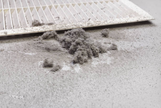 Best HVAC Maintenance and Cleaning  in Arnold, MD