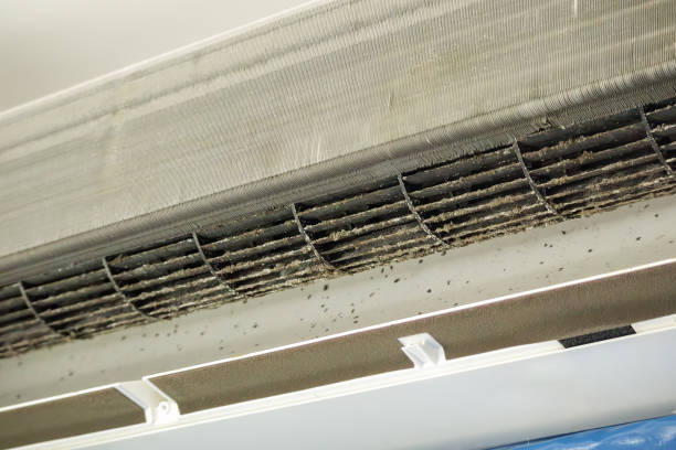 Best Ventilation Cleaning Services  in Arnold, MD